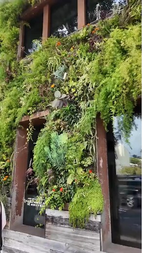 Your exploration station awaits. Pacific Edge Hotel is just steps away from the quaint town of Laguna Beach. With everything from adorable shops to sweet treat stops, there's no better place to be! Book your stay now at www.pacificedgehotel.com 🎥: @allielizphotos #pacificedge #pacificedgehotel #lagunabeachca #visitlagunabeach #hotelliving | Pacific Edge Hotel