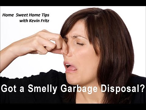 Best 3 Ways to Clean Your Nasty Smelly Garbage Disposal