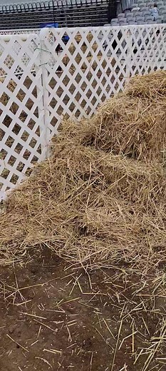 Course 1 | Barn Hunt Association, LLC