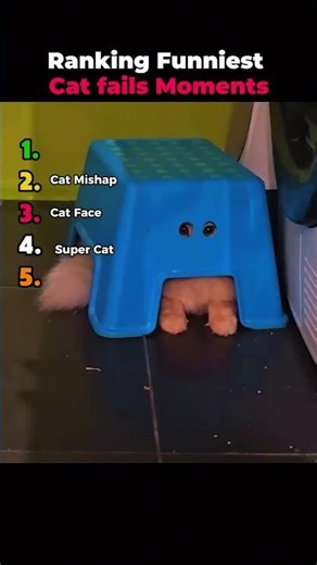 Which Cat Fail Is The Funniest? 🐱🤣 || #catfails #funnyanimals ‪@RankingModeON‬
