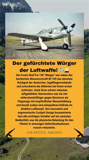 Focke-Wulf Fw 190: Der robuste Jagdflieger der Luftwaffe