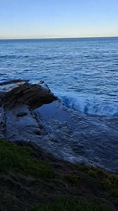 1.9K views · 33 reactions |  King Tide in La Jolla, California on December 4th. Waves breaking, people and sea lions swimming together in the Cove, seals in the Children's Pool sleeping safely in the sun behind the sea wall as waves come crashing over 玲 | David Wasserman | Facebook