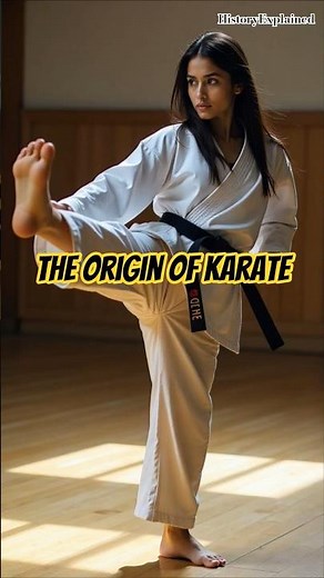 The Origin of karate and the history #historyfacts #history #knowledgefacts #japanesemartialarts