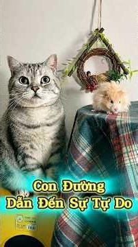 Con Đường Dẫn Đến Sự Tự Do ☠️🐭