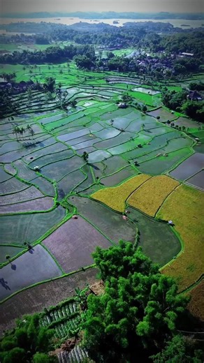 Indah sekali kampung ini,,, sayang sekali akses jalannya selapuk taokn runtak ricak kembel marak angen bebelu Karmela nukn ..!!! ✌✌✌ 📌: DUSUN Karmela Desa Leming Kec.Terara. #lotim #lomboktimur #visitlombok #hailotim #explorelombok #drone #djimini #dji #satulangit #lombokvirall🌴🌴 #lombokisland #dronekampung #kampunglombok