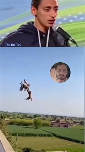 Introducing the "VitalWear SmartBand," a next-generation wearable gadget🎉