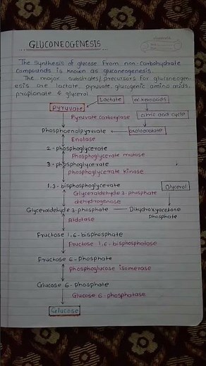 gluconeogenesis pathway#easy #pathway #biology #shorts