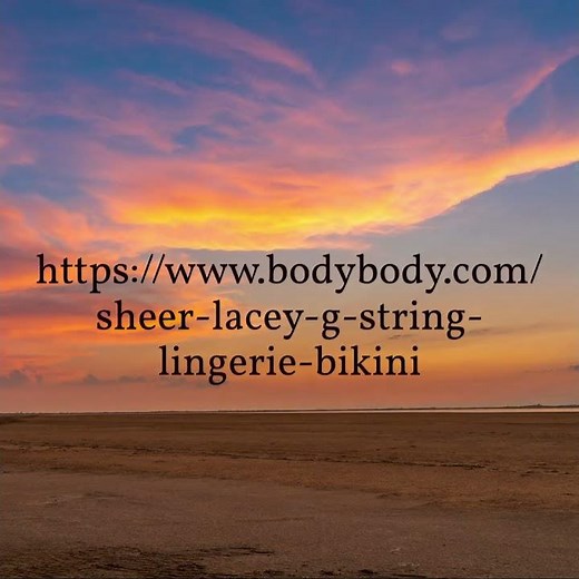 Sheer Lacey - G-String Lingerie Bikini