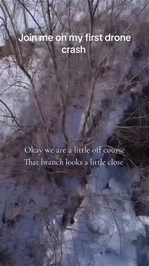 First crash today with my DJI Mini 4K, thankfully no damage