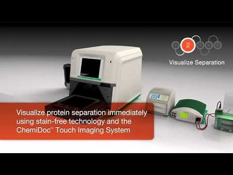 The V3 Western Workflow™ with ChemiDoc™ Touch Imaging System for Drug Discovery & Development