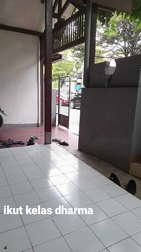 Fukkho Afuk (@fukkho.afuk)’s videos with 原声 - Household Station - Emotion Station