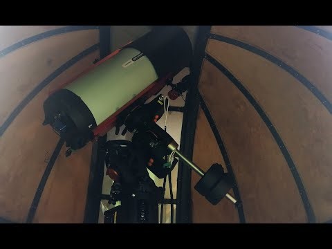 CGE Pro 12 Month Review