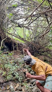 4.5K views · 13 reactions | Catch animals using a catapult | Arul Creator | Facebook