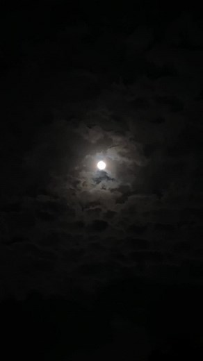 Videos de la Luna y Estrellas: Hermosa Noche Estrellada