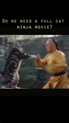 AI Just Made a Kung Fu Ninja Cat Movie 🐱🥷 #ai #FunnyCats #ComedyShorts