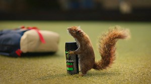 Lynx cuts horny squirrel humping a can of deodorant from the end of its latest ad after complaints
