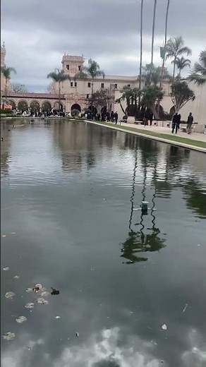 Balboa Park Lily Pond & Botanical Building San Diego's Most Beautiful Landmark #BalboaPark #LilyPond