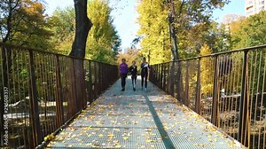 Active fit friends jogging together on bridge in park
