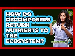 How Do Decomposers Return Nutrients To The Ecosystem?