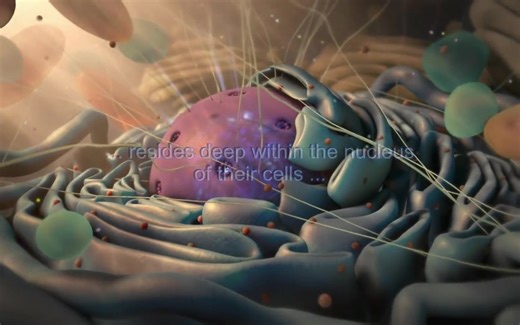 Introduction to Genetics