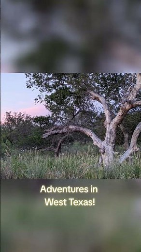 Trail Building adventures in West TX! #trail #trailbuilding #nature