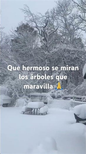 Dios es tan grande y poderoso que ase maravillas🙏