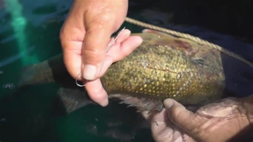 How and where to fizz largemouth bass - Bassmaster