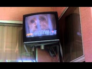 ASPCA commercials make Kahaiya sad....