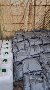 6.5K views · 163 reactions | Soyez les bienvenus mes chers amis agriculteurs https://maps.app.goo.gl/mnST8JRuAWoAg8qX8 | Pépinière Ghanou | Facebook