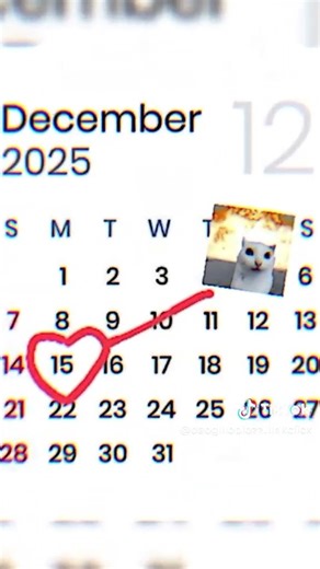 okey para anime lovers siapkan cemilanmu dan ayo kita nobar☺🫴 cr:tt