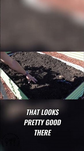 Why We Like Mushroom Compost for Our Raised Beds