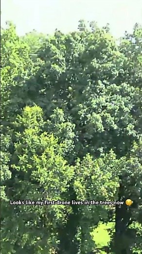 Testing the Nafyre N11 PRO GPS Drone with Camera for Adults 4K UHD…does not go as planned.