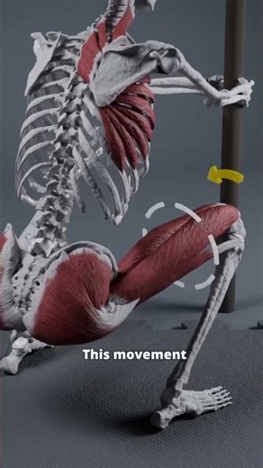 Deep squat Hip Rotation