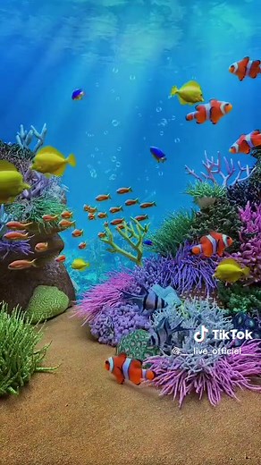 خلفيات حية بدقة 4K للمشاهد الطبيعية