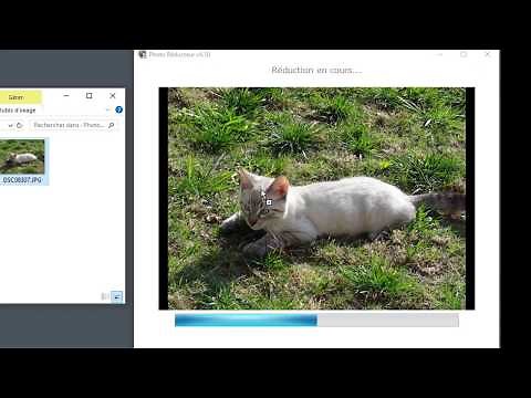 Photo Réducteur Prise en main