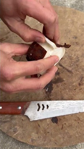 Rediscover the Timeless Charm of Spring Festival Rituals in 2025