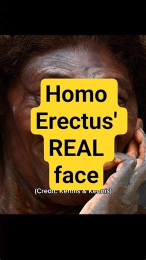 This is what Homo Erectus REALLY looked like #history #art #archaeology