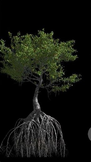 My Friend FREAKED Out! Herobrine Prank in Minecraft server