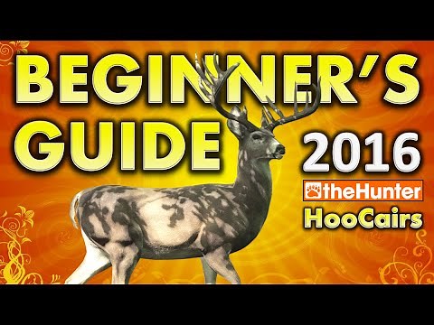 Beginner's Guide 2016 - theHunter Classic