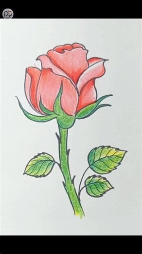 91K views · 1.8K reactions | Easy drawing ideas | Rose #drawing #drawingtutorial | Drawing Book | Facebook
