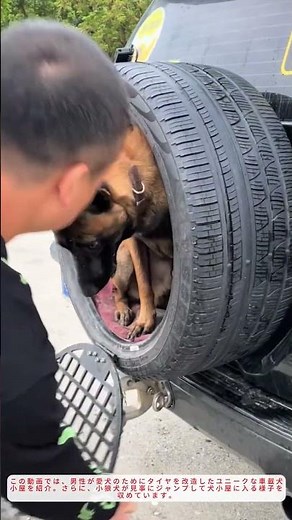 驚きの犬小屋DIY！タイヤで作る車載ペットハウス｜賢い犬のしつけ術