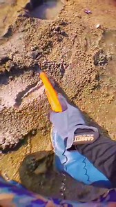 4K views · 45 reactions | #metaldetecting #metaldetector | Best Finder | Facebook