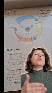 perchènil tuo cane è ingestibile? te lo spiego coi loop #cani #educazionecinofila