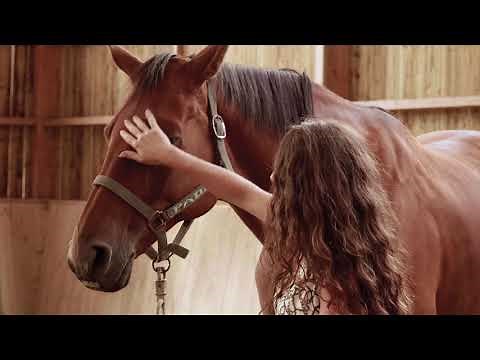 Un simulateur (cheval mécanique), pour quoi faire ?