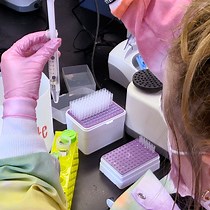 Single-cell CUT&RUN Protocol for Protein Loca - JoVE Journal