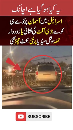 Strange Bird Gathering Stops Traffic😲 | Unusual Nature Moment #Shorts #viralvideo #news #inspiration