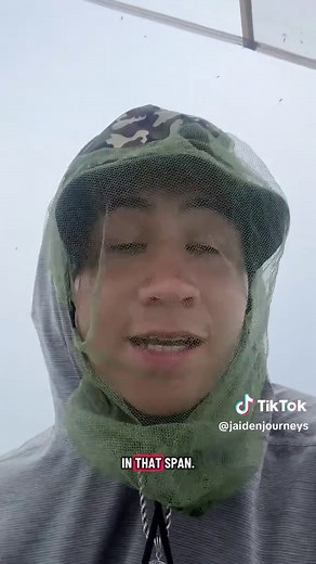 The Reality of Camping in New Zealand: Sand Flies Explained