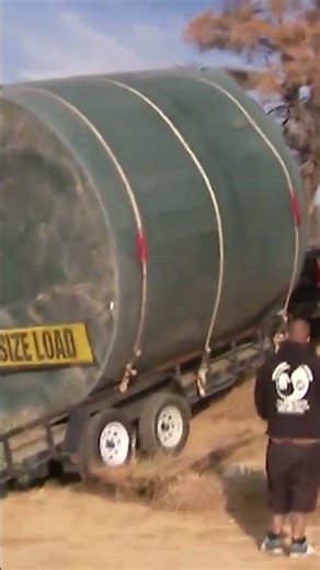 One Last Fix Before Arrival #shorts #pitbull | Pit Bulls & Parolees | Animal Planet India