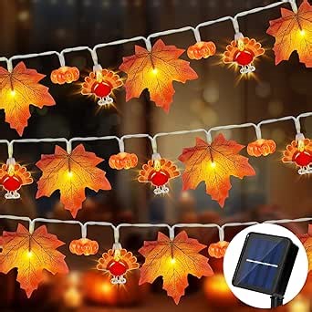 Mosoan Solar Thanksgiving Decorations Fall Garland with Enlarge Turkey Lights, Thanksgiving Lights Pumpkin Decor, 20Ft 40LED Waterproof Turkey String Lights Decoration Home Indoor Outdoor Garden