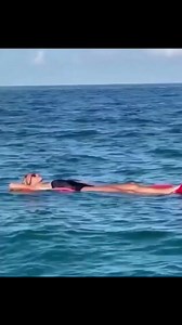 1.5M views · 4.4K reactions | Brave girl  Omg shark around the scuba diver. #shark #sharks #ocean #sharkweek #underwater #sharkdiving #savesharks #greatwhiteshark #fish #sharkconservation #sharklover #sharkattack #sea #whiteshark #diving #nature #sharklove #scubadiving #scuba #fishing #art #jaws #savethesharks #ilovesharks #underwaterphotography #cagediving #saveoursharks #helpsavesharks #sharklife #lovesharks | Mempa Aje | Facebook